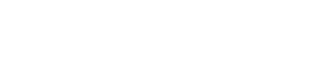 Anadolu Assist